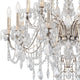 Century 20-Light Chandelier