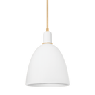 1717-VGL/CMI