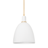 Copake Pendant