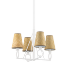1724-WP