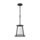 Lenyx 1-Light Mini Pendant