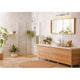 Z-Lite - Astor 4-Light Vanity Light - Lights Canada