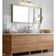 Z-Lite - Astor 4-Light Vanity Light - Lights Canada
