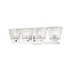 Z-Lite - Astor 4-Light Vanity Light - Lights Canada