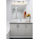 Z-Lite - Astor 4-Light Vanity Light - Lights Canada