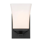 Z-Lite - Darcy 1-Light Sconce - Lights Canada
