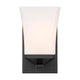 Z-Lite - Darcy 1-Light Sconce - Lights Canada