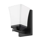 Z-Lite - Darcy 1-Light Sconce - Lights Canada