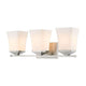 Z-Lite - Darcy 3-Light Vanity Light - Lights Canada