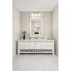 Z-Lite - Darcy 3-Light Vanity Light - Lights Canada
