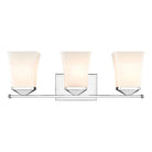 Z-Lite - Darcy 3-Light Vanity Light - Lights Canada