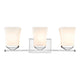 Z-Lite - Darcy 3-Light Vanity Light - Lights Canada