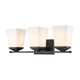 Z-Lite - Darcy 3-Light Vanity Light - Lights Canada