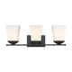 Z-Lite - Darcy 3-Light Vanity Light - Lights Canada