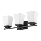 Z-Lite - Darcy 3-Light Vanity Light - Lights Canada