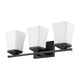 Z-Lite - Darcy 3-Light Vanity Light - Lights Canada