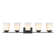 Z-Lite - Darcy 5-Light Vanity Light - Lights Canada