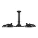 Bellamy 5-Light Semi Flush Mount