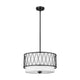 Z-Lite - Dalton 3-Light Pendant - Lights Canada