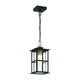 Greyson 16" 1-Light Outdoor Pendant