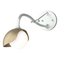 Brooklyn 1-Light Single Shade Long-Arm Sconce