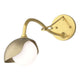 Brooklyn 1-Light Single Shade Long-Arm Sconce