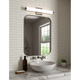 Tubo Slim LED 18" LED Bath Bar with Flat Trim