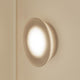 Mist Round Sconce/Surface Mount