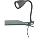 Wanda 1-Light CLamp