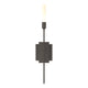Lisse 1-Light Sconce