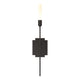 Lisse 1-Light Sconce