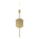 Lisse 1-Light Sconce