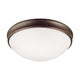 Hansen 2-Light Flush Mount