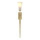 Sweeping Taper Sconce