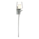 Antasia Double Glass 1-Light Sconce