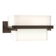 Kakomi 1-Light Sconce