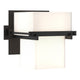 Kakomi 1-Light Sconce