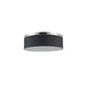 Zen 3-Light Flush Mount