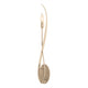 Willow Sconce