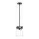 Scoop 1-Light Pendant/Flush Mount