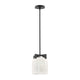Scoop 1-Light Pendant/Flush Mount