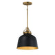 Hollis 12" Pendant