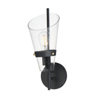 Finch 1-Light Wall Sconce