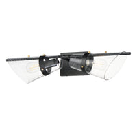 Finch 2-Light Wall Sconce