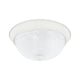 Bates 2-Light Flush Mount