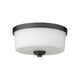 Arlington 2-Light Flush Mount