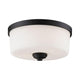 Arlington 2-Light Flush Mount