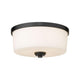 Arlington 3-Light Flush Mount