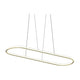 Luna 60" Racetrack Pendant