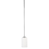 Iris 1-Light Pendant